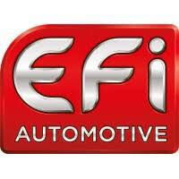 EFI Referans